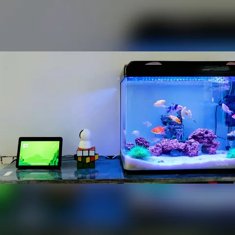 Akvaryum Elektrik Tüketimi Hesaplama içeriğini gösteren akvaryum görseli